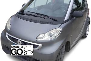 Smart ForTwo GPL motore km 15000