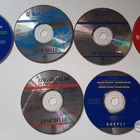 Dizionari multilingue (cd-rom)