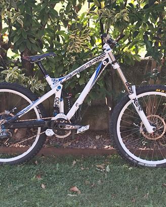 mtb DH