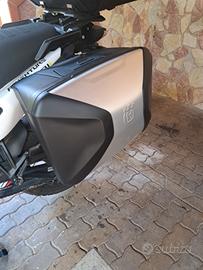 valigie rigide Husqvarna 901 e KTM