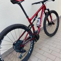 Specialized SWORKS EPIC 2022 L