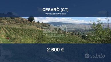Immobile in asta di 3040 m² a Cesarò