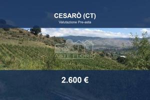Immobile in asta di 3040 m² a Cesarò