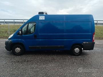 Peugeot boxer cella Frigo FNAX -20