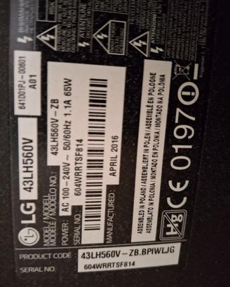 Tv LG 43 POLLICI CON SCHERMO  LESIONATO