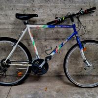 BICI MOUNTAIN BIKE (Rif.71)