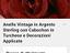Immagine 6