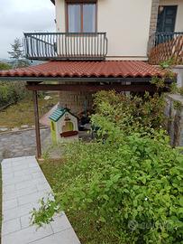 tettoia/pergola in legno usata 