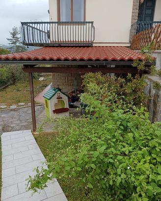 tettoia/pergola in legno usata 