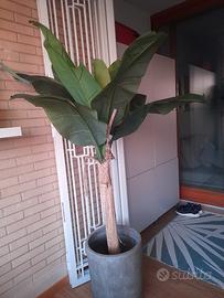 pianta artificiale 