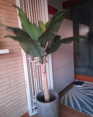 pianta artificiale 