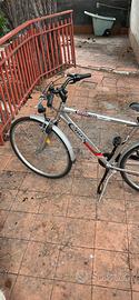 bicicletta uomo