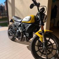 Ducati scrambler icon 800 Yellow