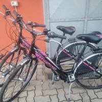 COPPIA DI BICICLETTE CITY BIKE COME NUOVE