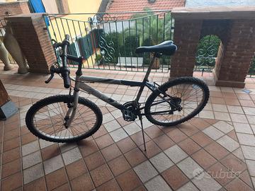 Mountain bike 24