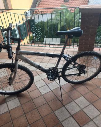 Mountain bike 24