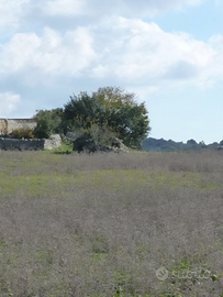 Terreno con 2 villette (SR)