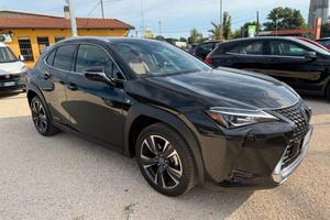 Lexus UX UX250H Hybrid Premium 184cv 2.0 2wd cvt m