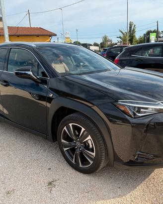 Lexus UX UX250H Hybrid Premium 184cv 2.0 2wd cvt m