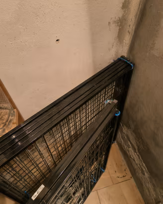 recinzione cane e gatto