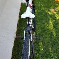 bicicletta ragazzo 