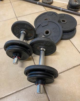 Manubri Componibili Dischi Ghisa 28mm