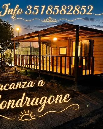Transitorio