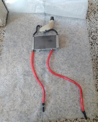 radiatore e vaschetta 