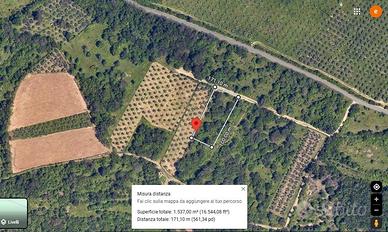 Terreno agricolo soleggiato con accesso diretto