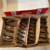 Molle cupra formentor 2021