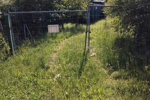 Terreno agricolo Sinalunga