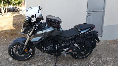 750 honda hornet my24