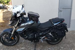 750 honda hornet my24