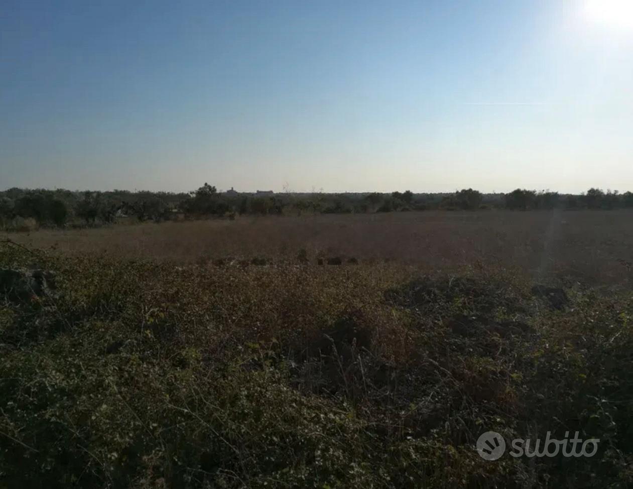 Terreno agricolo-seminativo - Vista 5