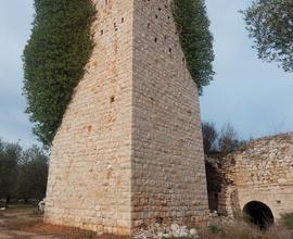 Un pezzo di Puglia Torre Storica 13ettari