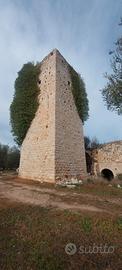 Un pezzo di Puglia Torre Storica 13ettari