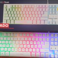 TASTIERA GAMING USATA POCO BIANCA