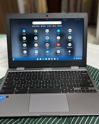 Notebook Chromebook Asus c223na Linux
