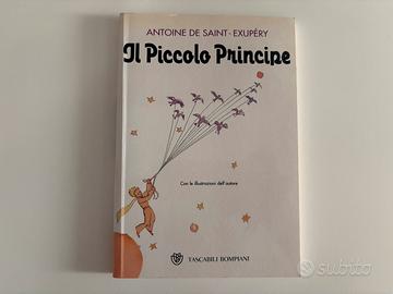 Libro “Piccolo principe”