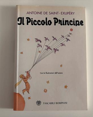 Libro “Piccolo principe”