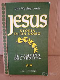 Jesus. Storia di un uomo. Il cammino del profeta