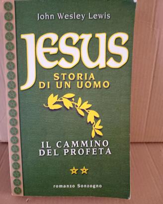 Jesus. Storia di un uomo. Il cammino del profeta