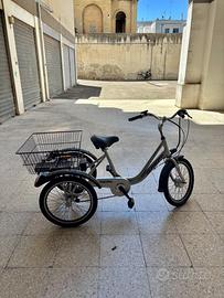 Triciclo elettrico Brera Cicli Olanda Liberty –250