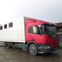 Camion Scania trasporto cavalli