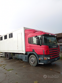 Camion Scania trasporto cavalli