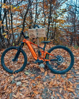 e bike