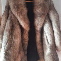 Volpe di Groenlandia