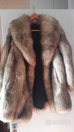 Volpe di Groenlandia