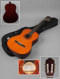 Chitarra Eko entry level 2010