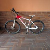 BICI KTM MTB